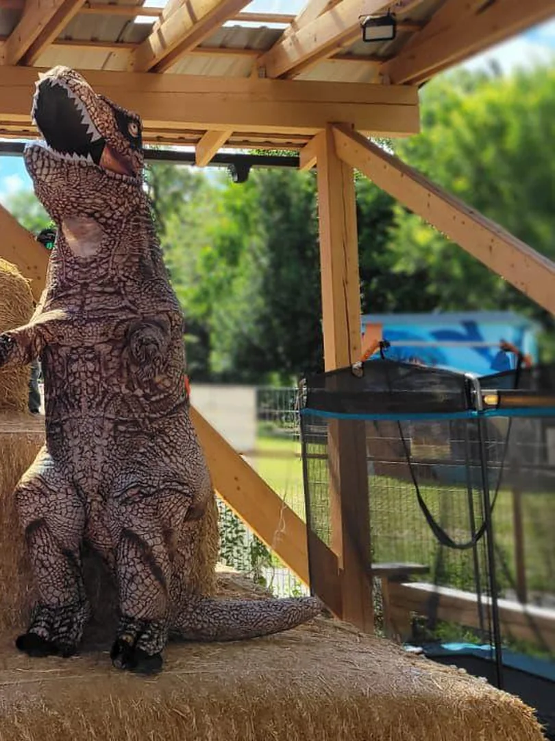Nafukovací dinosaurus na balících slámy pod pergolou, za ním trampolína a zahrada
